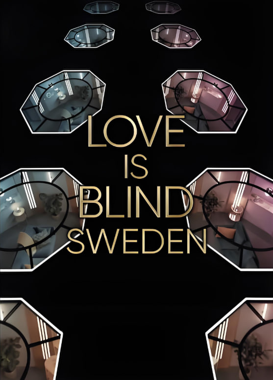 爱情盲选：瑞典篇 第二季封面图