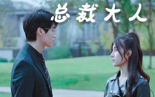 我的总裁大人封面图