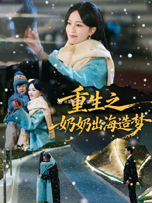 重生之奶奶出海造梦封面图