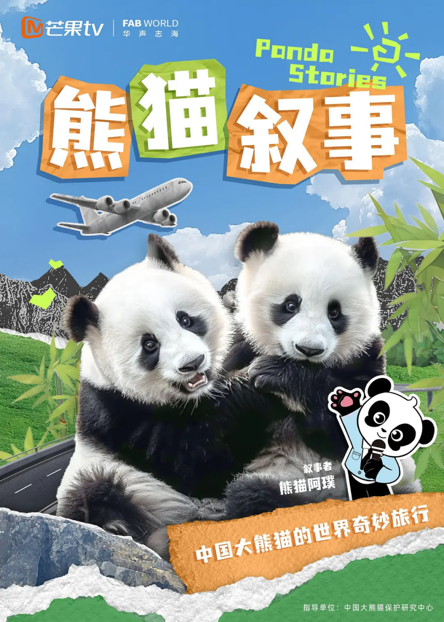 熊猫叙事封面图