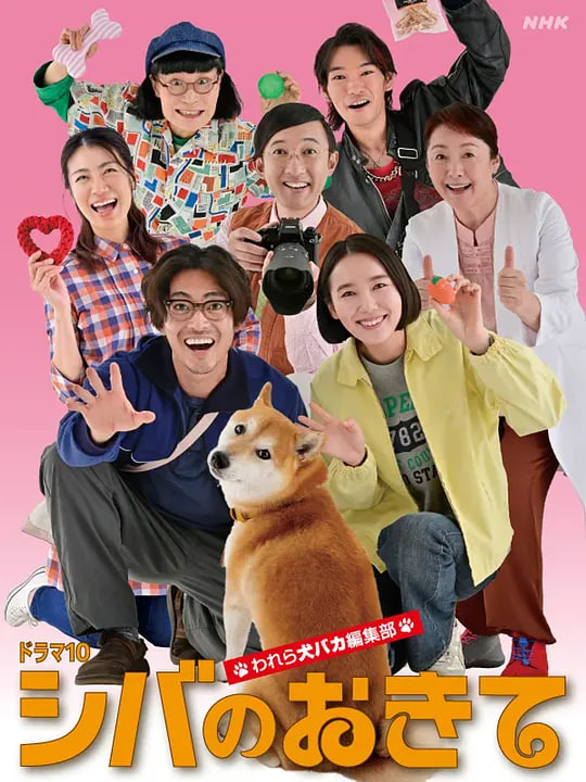 柴犬的规矩～我们这群狗痴编辑部封面图